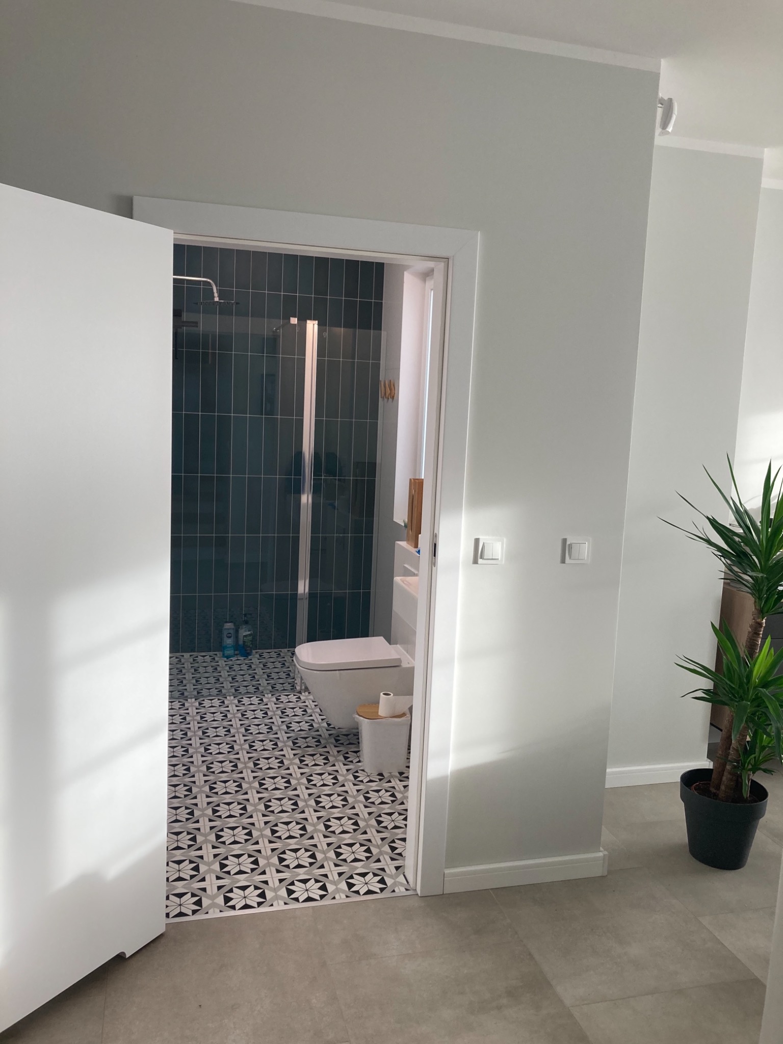 Nowoczesna łazienka w odcieniach szarości z wzorzystą podłogą i kabiną prysznicową typu walk-in, widoczna z korytarza, z rośliną doniczkową w pobliżu.