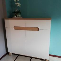 GUD meble - Biała szafka z drewnianymi akcentami i uchwytem, na blacie dekoracyjna roślina, na tle turkusowej ściany.