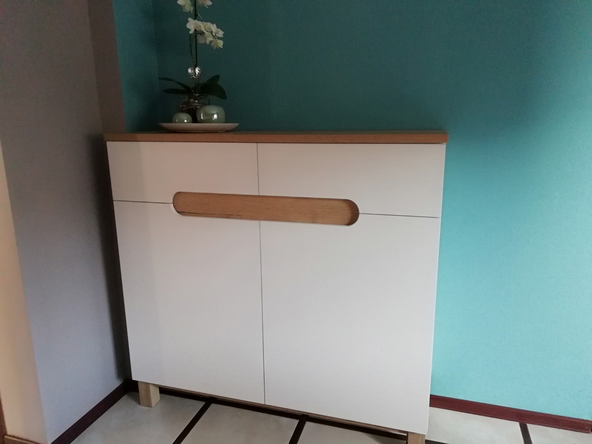 Biała szafka z drewnianymi akcentami i uchwytem, na blacie dekoracyjna roślina, na tle turkusowej ściany.