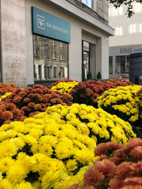 Fasada budynku z szyldem 'Get Better Clinic' widziana zza dywanu z żółtych i brązowych chryzantem, obok widoczny budynek z napisem 'Hygge Cafe'.