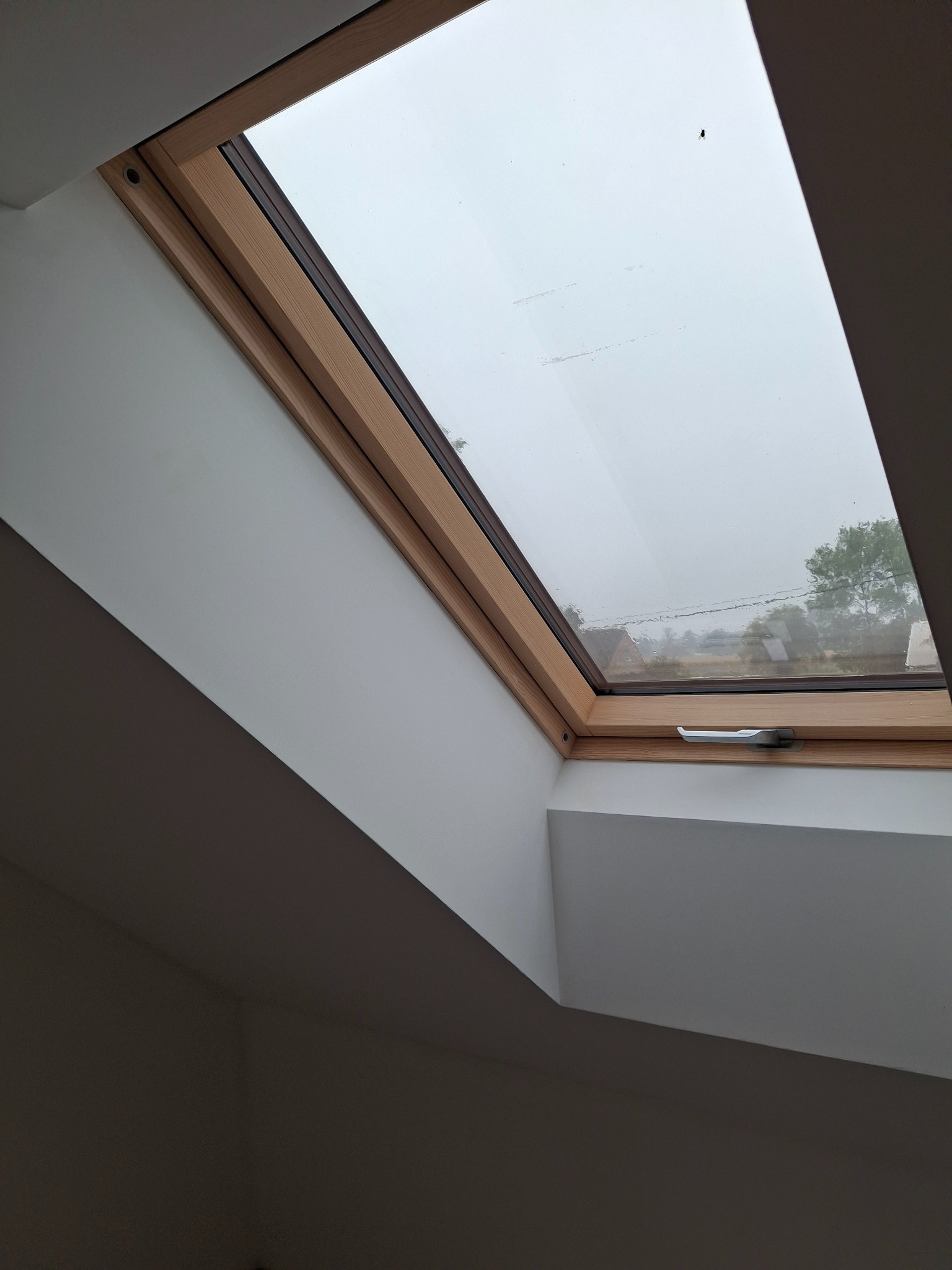 Okno dachowe z drewnianą ramą, widok na zewnątrz. Białe ściany, szara pogoda za oknem. Widoczny uchwyt okna i niewielki owad na szybie.