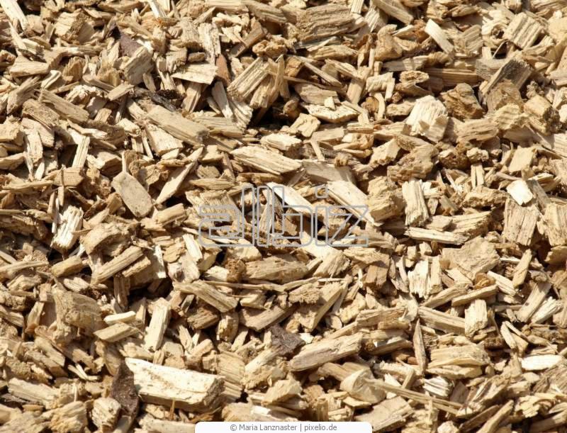 Jasne zrębki drzewne, różnej wielkości, ułożone warstwą, widoczne fragmenty kory.