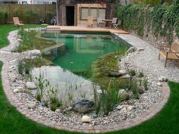 Naturalny basen w ogrodzie z roślinnością wodną i kamieniami, drewniany pomost i meble ogrodowe w tle, zielona woda.