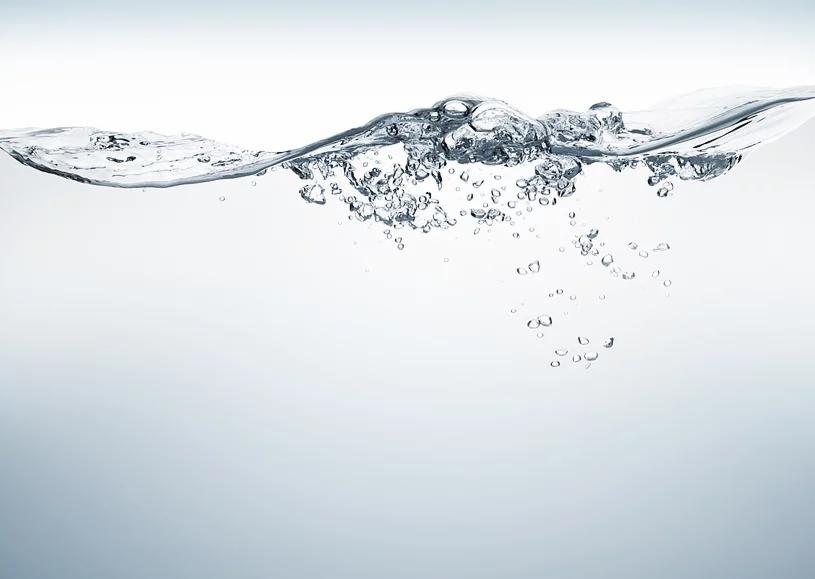 Ogrody i Sprzątanie