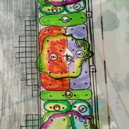 Kolorowy, ręcznie rysowany plan ogrodu z numeracją roślin i elementami infrastruktury, widok z góry na papierze milimetrowym z częściowo widocznymi notatkami.