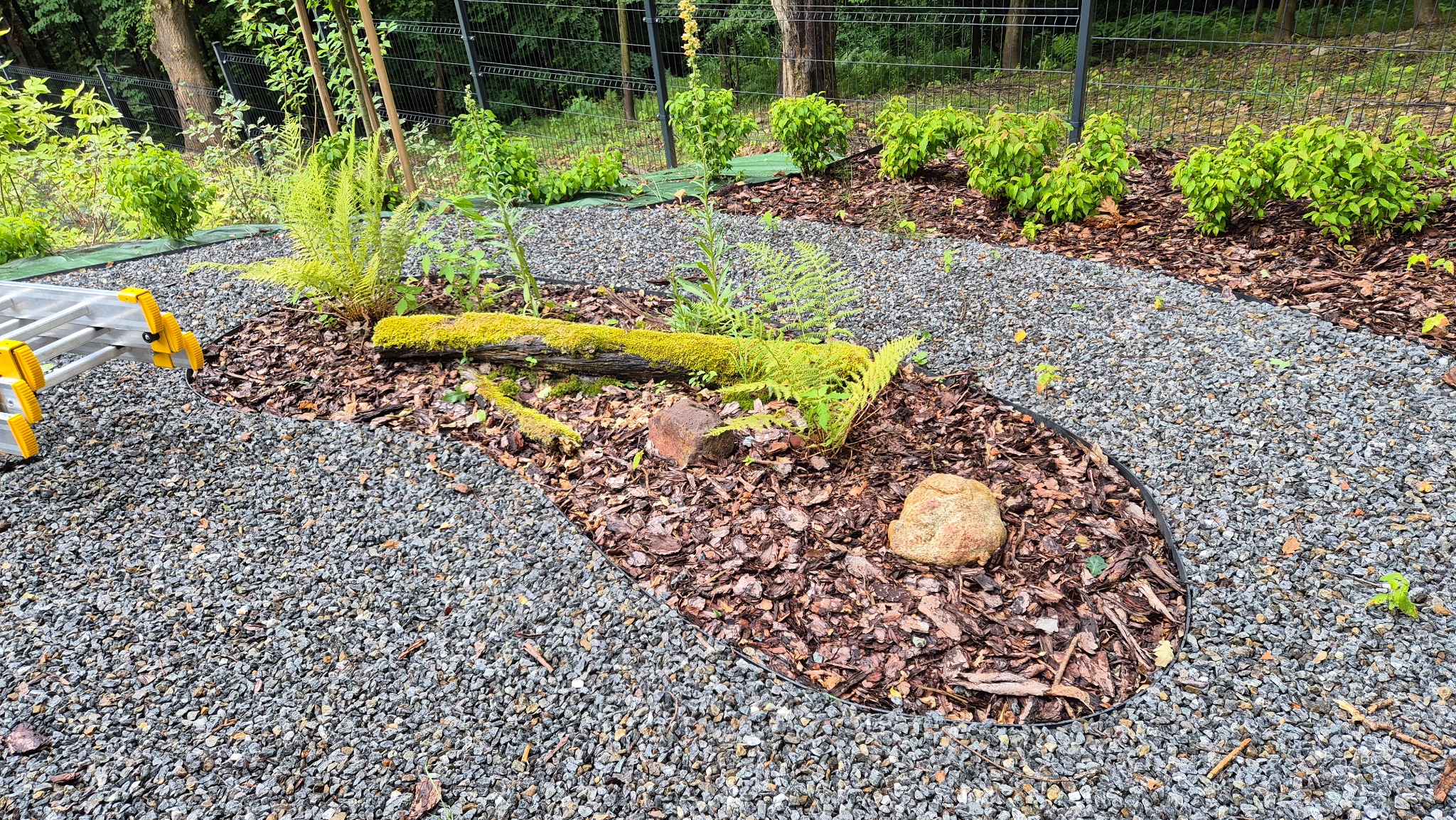 Rabata z korą i kamieniami otoczona szarym żwirem, z elementami drewna porośniętego mchem i roślinami, widoczna drabina w tle.