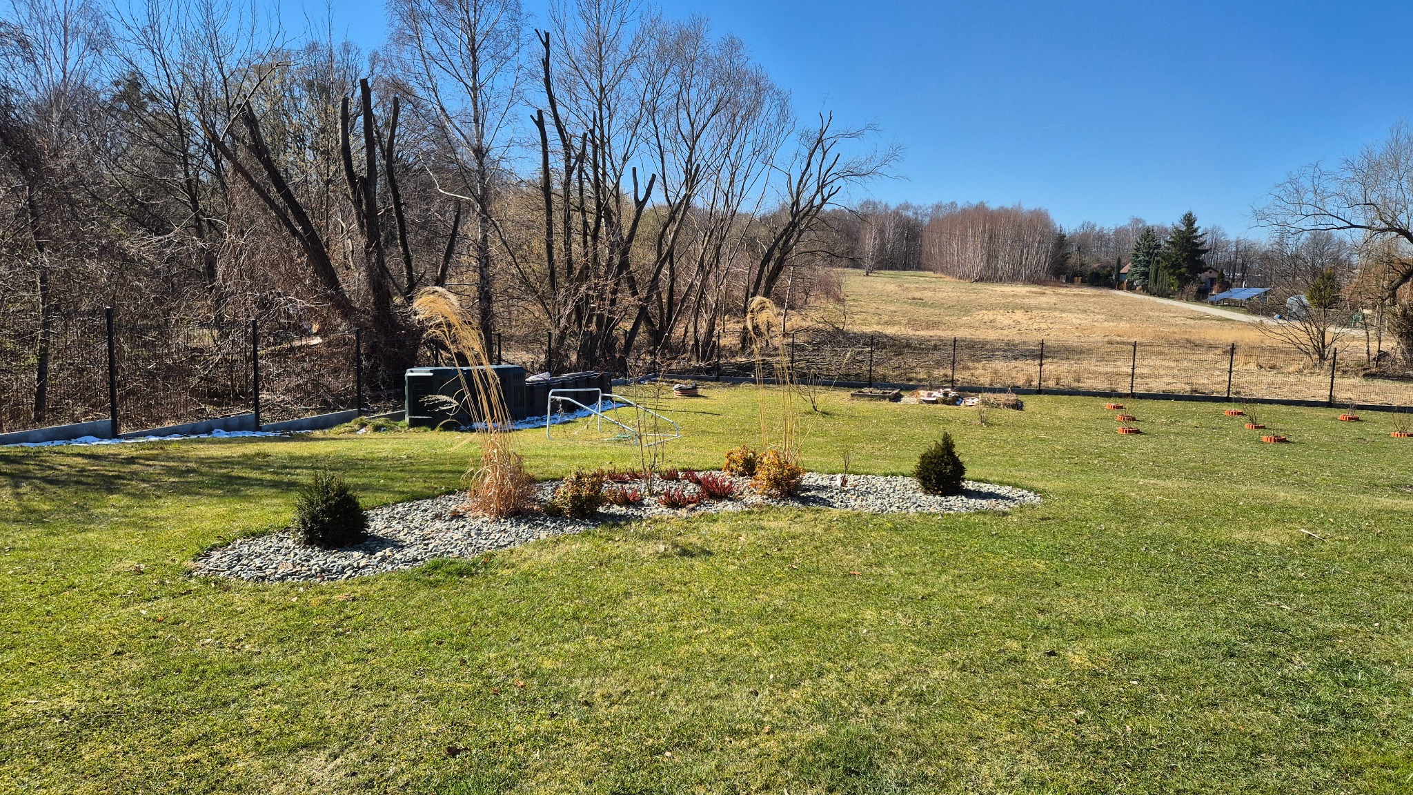 Widok ogrodu na wiosnę: trawnik, rabata z kamieniami i roślinami ozdobnymi, w tle drzewa bez liści i ogrodzenie.