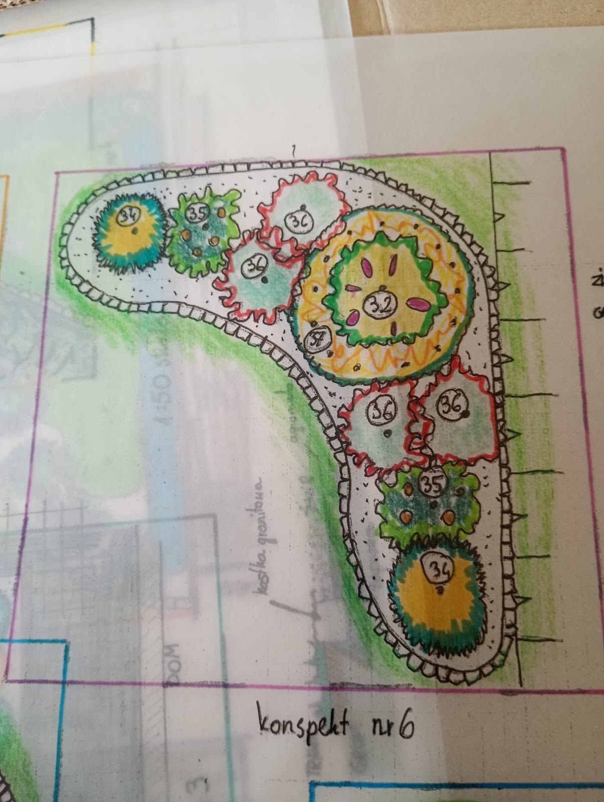 Ręcznie rysowany plan zagospodarowania terenu z zaznaczonymi nasadzeniami roślin oznaczonymi numerami, widoczne odręczne notatki i fragmenty innych schematów.