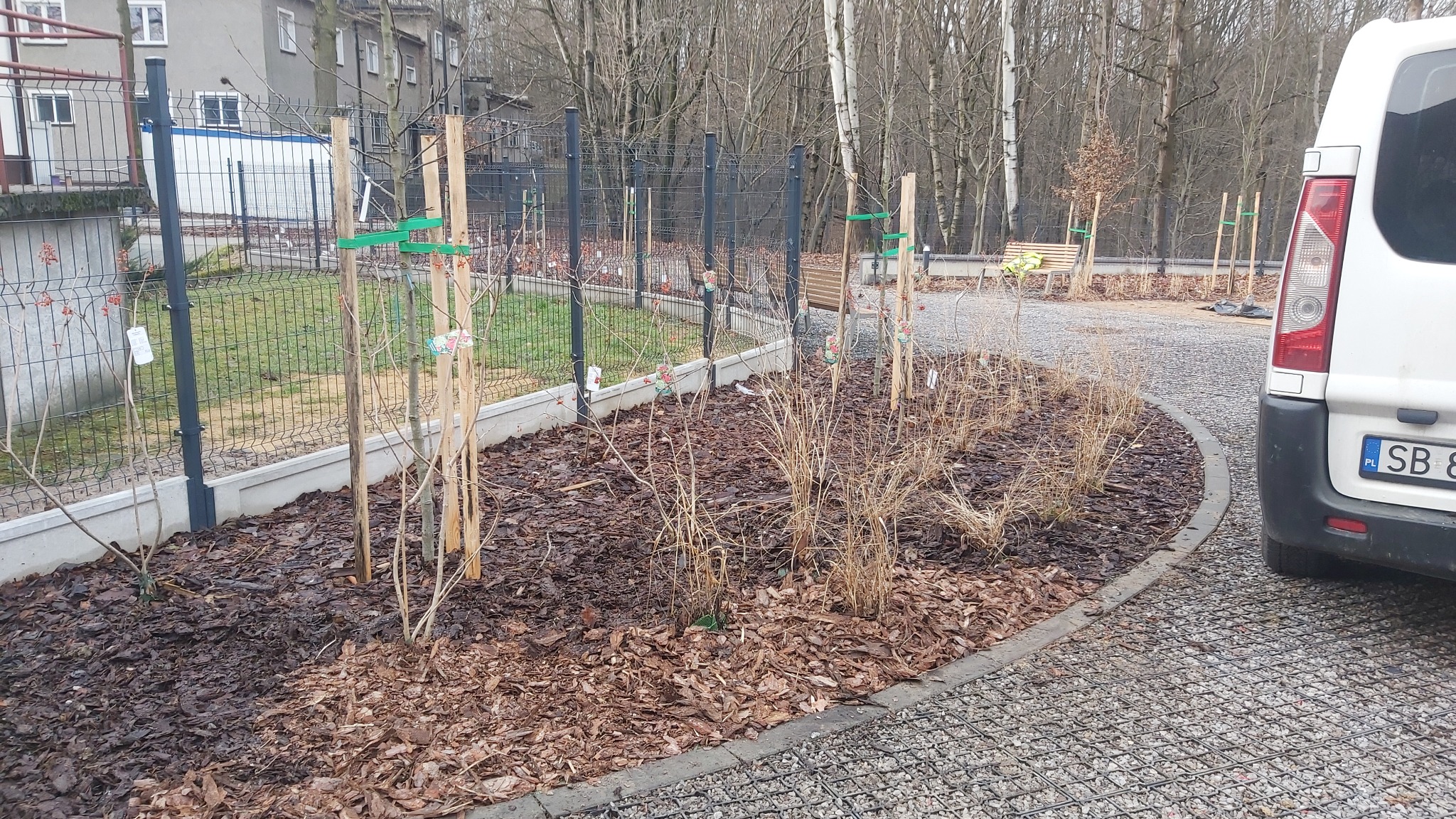 Świeżo posadzone krzewy i drzewka podparte drewnianymi palikami z zielonymi taśmami, wyściółkowane korą, oddzielone od trawnika betonową obwódką i metalowym ogrodzeniem, na tle budynku mieszkalnego...