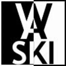 Czarno-białe logo firmy Waski, podzielone pionową linią, z literami umieszczonymi na przemian na czarnym i białym tle.