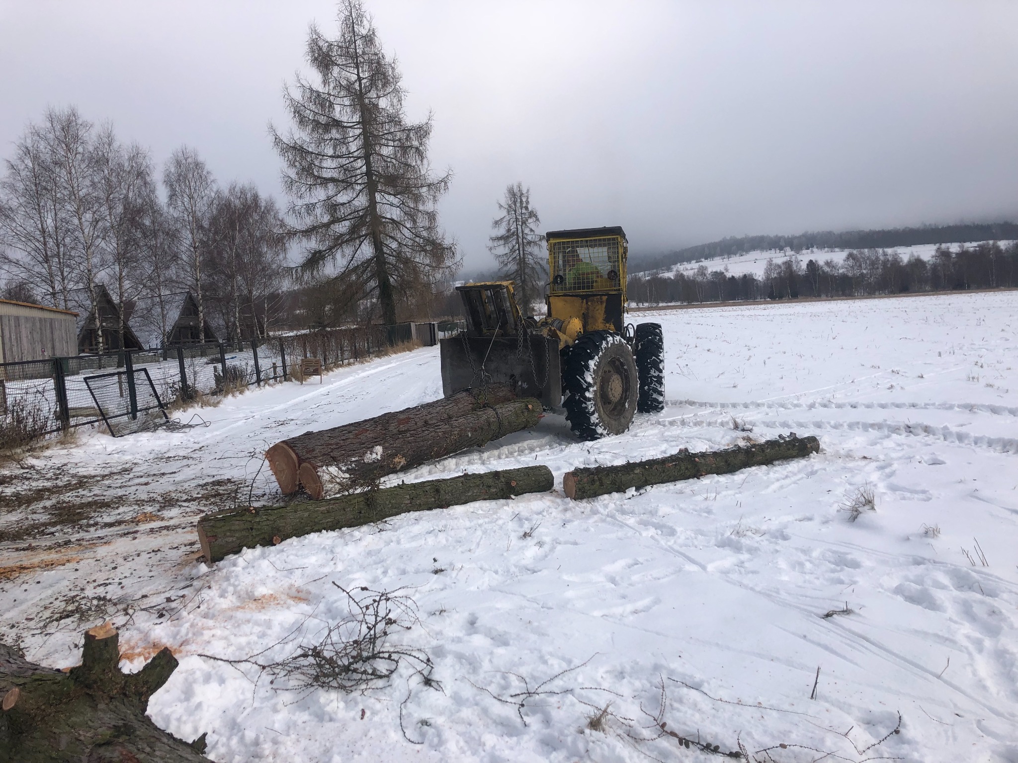 Żółty traktor z łyżką transportuje pocięte pnie drzew na ośnieżonym polu, widoczne ślady opon i resztki po wycince, w tle las i pochmurne niebo.