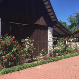 Agroturystyka Celiny 2