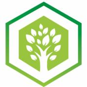 Stylizowany symbol drzewa z białym pniem i liśćmi na jasnozielonym sześciokątnym tle, otoczony ciemnozieloną ramką sześciokąta z gradientem.