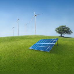 Bissu Tomasz Filipiak