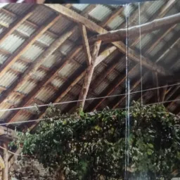 DACHY budowa i naprawa poszyć dachowych