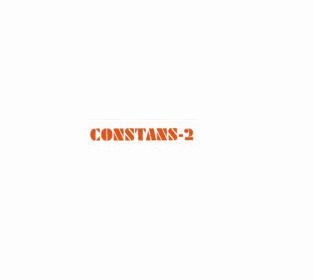 Firma Constans-2 Mateusz Ćmiel - Skład budowlany Bolesław