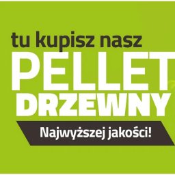 Jawor Pellet Dominik Pawłowski - Pelet Brodnica