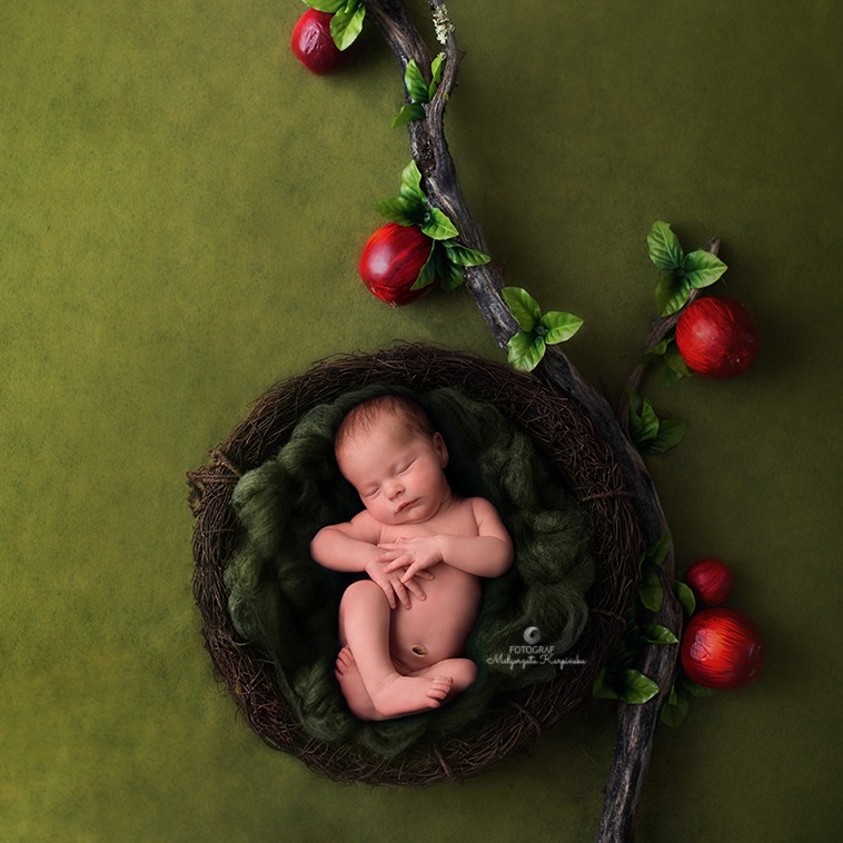 Śpiący noworodek ułożony w gnieździe z zielonym wypełnieniem, obok gałązka z czerwonymi jabłkami na zielonym tle.