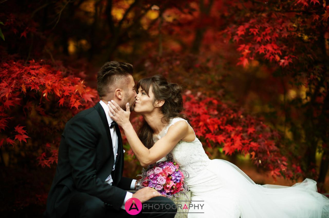 Pocałunek nowożeńców na tle czerwonych liści klonu japońskiego, panna młoda w koronkowej sukni z bukietem, pan młody w czarnym smokingu.