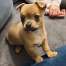 Podkarpacka Agencja Bezpieczeństwa Biznesu MAAT - Odzyskiwanie Długów Rzeszów