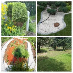 Kompozycja czterech ujęć ogrodu: formowane tuje przy lampie, rabata z białym żwirem i obrzeżem, ścieżka z kory i żwiru, trawnik z drzewami w słoneczny dzień.