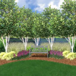 Wizualizacja ogrodu z brzozami, drewnianą ławką i rabatami kwiatowymi, otoczona ciemnym ogrodzeniem z kratką.