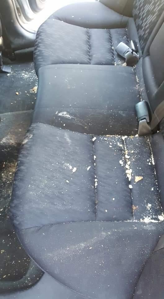 Zabrudzona tylna kanapa samochodowa z resztkami jedzenia i plamami, widoczne pasy bezpieczeństwa.