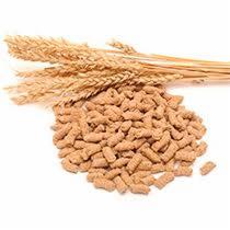 Jasnobrązowe granulki na białym tle, obok kłosy zboża.