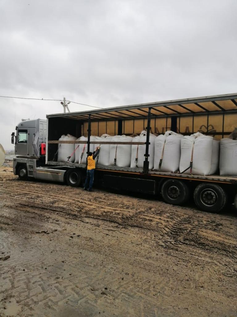 Ciężarówka z naczepą załadowana białymi workami, pracownik w żółtej kamizelce zabezpiecza ładunek, błotniste podłoże.