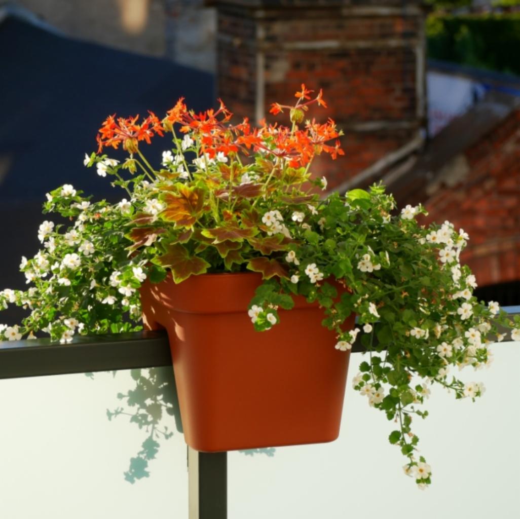 Pomarańczowo-białe kwiaty w brązowej doniczce zawieszonej na balustradzie balkonu, w tle ceglany komin i dach budynku.