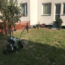 Pielęgnacja ogrodów Katowice 7