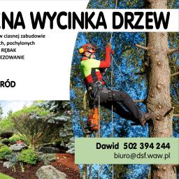 DS Pielęgnacja i wycinka drzew. - Wycinka Drzew Górzno