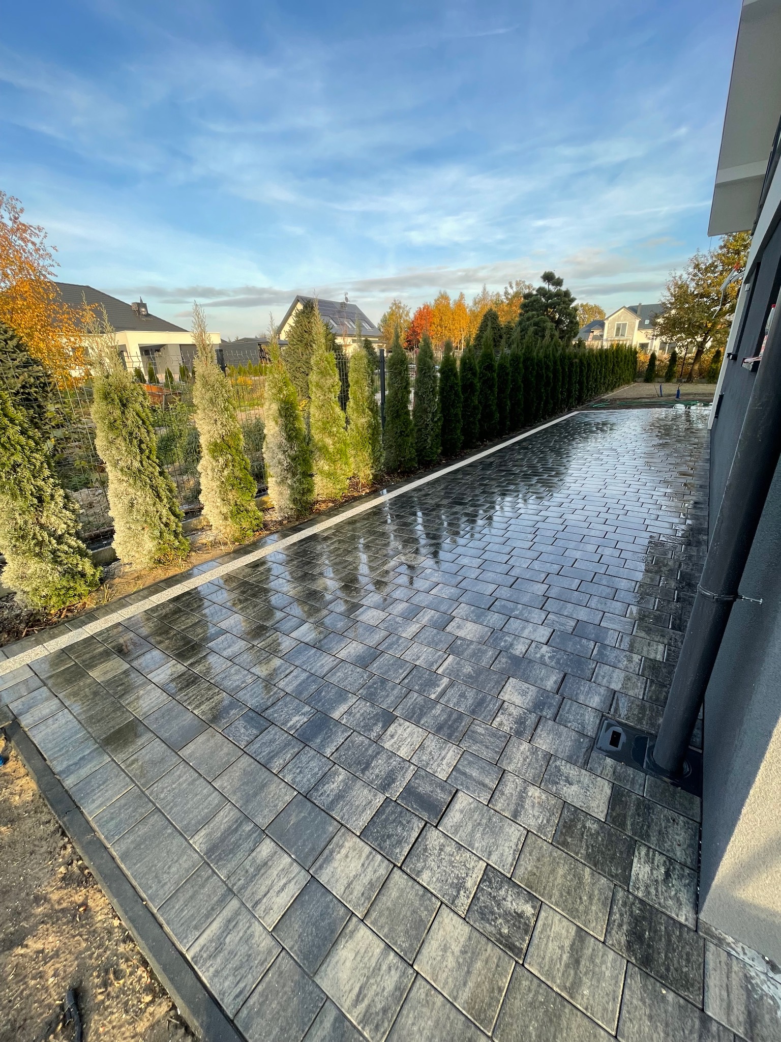 Świeżo ułożona, mokra nawierzchnia z szarej kostki brukowej w regularny wzór, obrzeża z ciemniejszej kostki, rząd tuj wzdłuż ogrodzenia, w tle domy jednorodzinne pod błękitnym niebem.