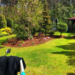 Urokliwy ogród z magnolią w rozkwicie, rabatami wysypanymi korą, równo przystrzyżonym trawnikiem i altaną w tle, widok z perspektywy niskiego krzesła z czarną bluzą.