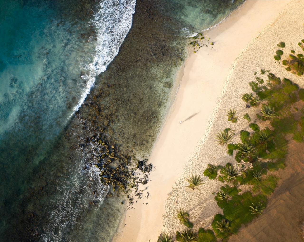 Widok z lotu ptaka na piaszczystą plażę z turkusową wodą i roślinnością, pojedyncza osoba spacerująca brzegiem morza.
