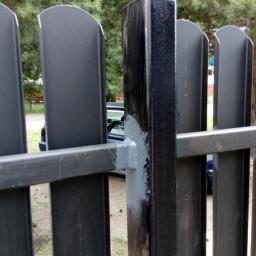 Bramy wjazdowe Dzięcioły 4