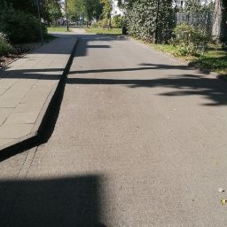 AGRA - Ujęcie z poziomu kostki brukowej w parku, cień drzewa na nawierzchni, widoczny chodnik i zieleń parkowa w tle.