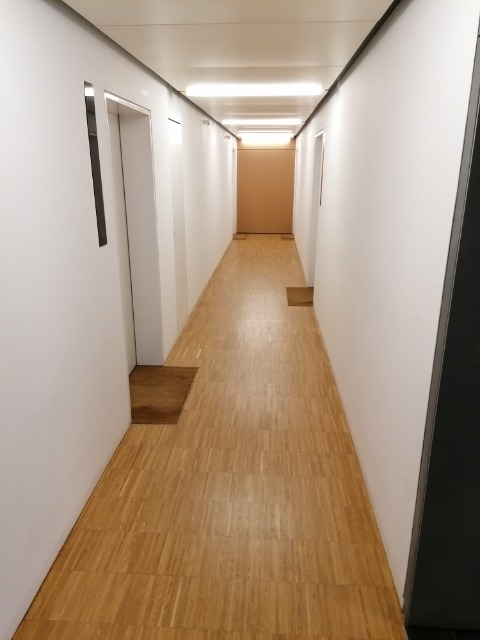 Długi, pusty korytarz biurowy z drewnianą podłogą i białymi ścianami, oświetlony przez lampy sufitowe, z widocznymi drzwiami i wycieraczkami.