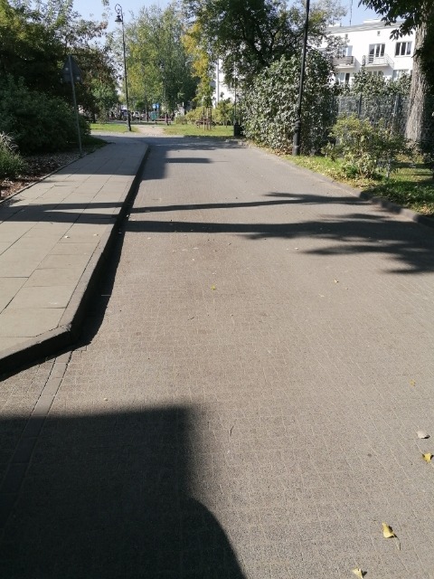 Ujęcie z poziomu kostki brukowej w parku, cień drzewa na nawierzchni, widoczny chodnik i zieleń parkowa w tle.