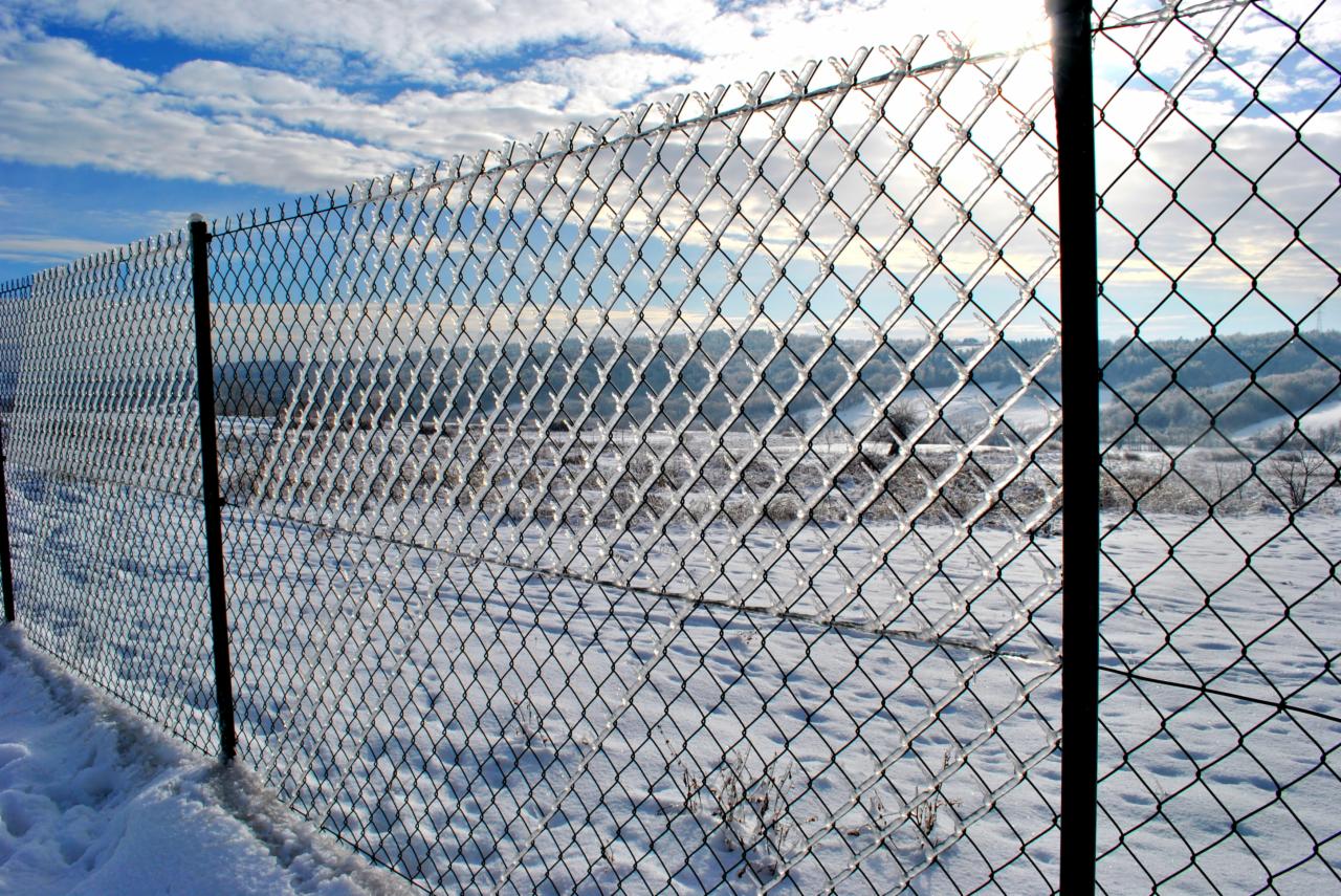 Siatka ogrodzeniowa małopolska