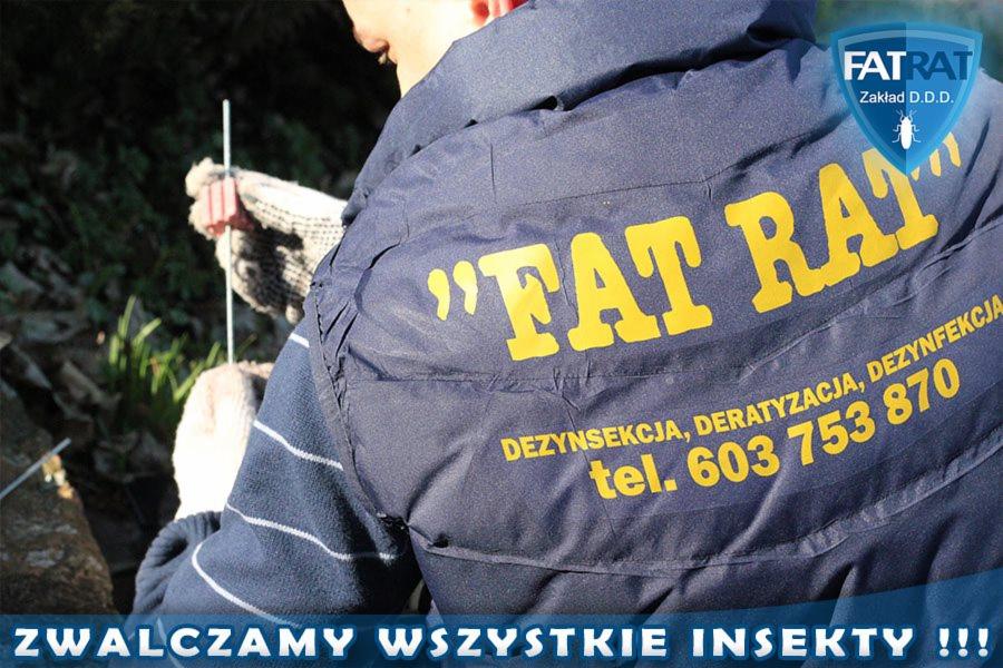 Osoba w granatowej kurtce z logo firmy 'FAT RAT', zajmująca się zwalczaniem insektów, trzymająca w rękawicach prawdopodobnie preparat do dezynsekcji.