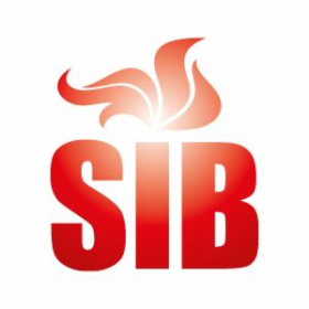 Beskidzkie Centrum Kotłów i Instalacji SIB - Instalacje gazowe Buczkowice