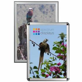 SPECTRUM-DISPLAYS - Materiały reklamowe Morąg