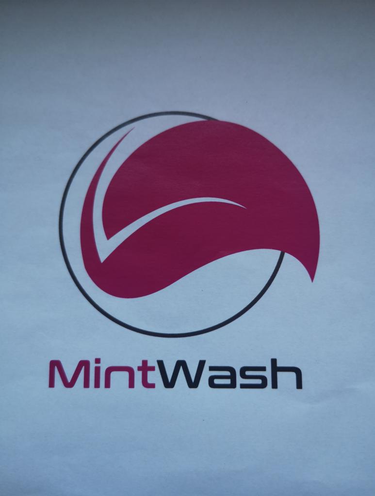 Logo firmy MintWash przedstawiające stylizowaną kroplę w okręgu, z nazwą firmy poniżej, na jasnym tle.