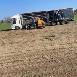 Trawa z rolki Parchowo 3