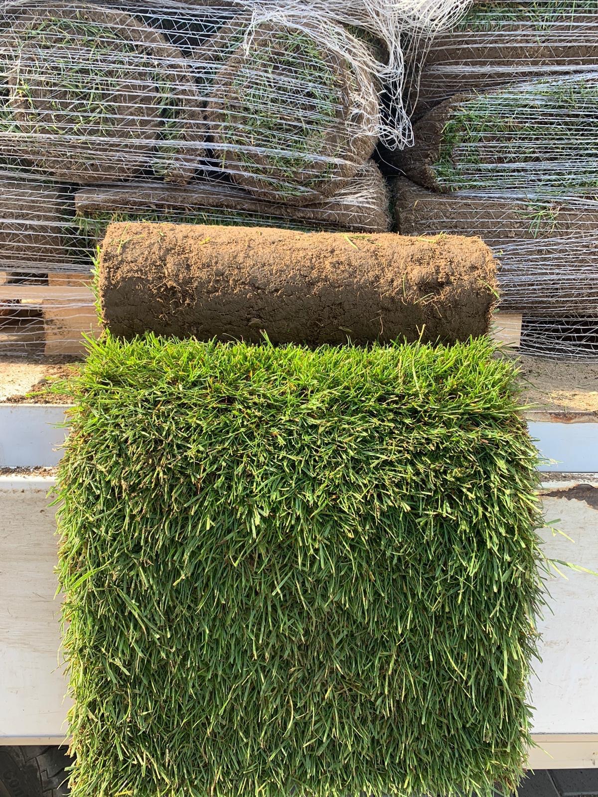 Zwarta rolka świeżej, zielonej trawy na tle palety z zapasem rolek, zabezpieczonych siatką. Widoczna struktura darni i intensywna zieleń.