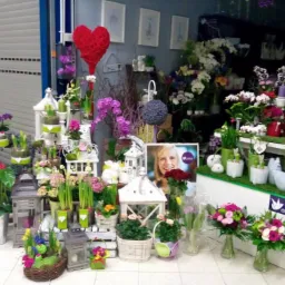 Ekspozycja w kwiaciarni: różnorodne kwiaty doniczkowe i cięte, lampiony dekoracyjne, serce z włóczki, plakaty i logo Euroflorist.