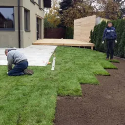 Układanie trawy z rolki na przygotowanym podłożu, widoczny pracownik w trakcie pracy i drugi stojący obok żywopłotu z tui, w tle dom z tarasem.