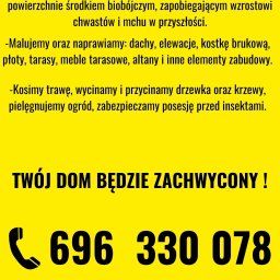 Mycie dachów Poznań 1