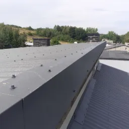 Szary, metalowy dach przemysłowy z widocznymi śrubami mocującymi, obróbka blacharska na krawędzi, w tle zieleń i budynki.